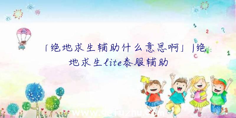 「绝地求生辅助什么意思啊」|绝地求生lite泰服辅助